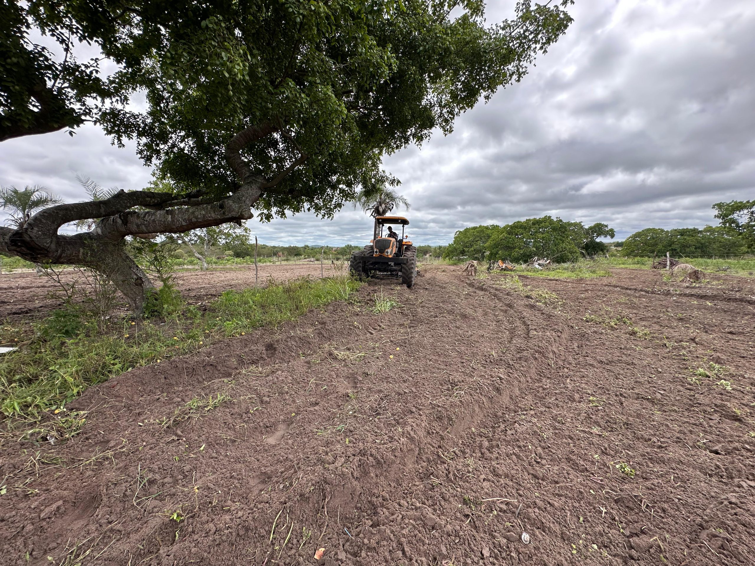 Campo Forte prepara mais de 2.500 agricultores para safra de inverno em comunidades rurais