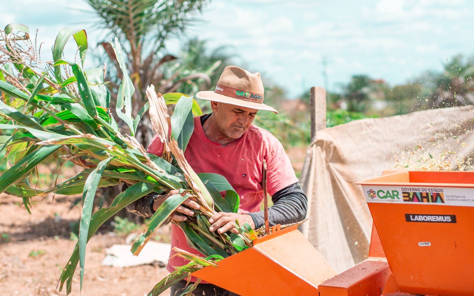 Pagamento do Garantia-Safra foi liberado nesta quarta-feira (17) para agricultores familiares de Coité
